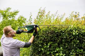 akumuliatorines zirkles bosch - Bosch Advanced Hedge Cut 65 - 2 nuotrauka