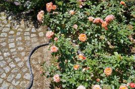 laistymo zarna 20 mm - Gardena 18425-20 Liano Textile Hose 10m - 4 nuotrauka