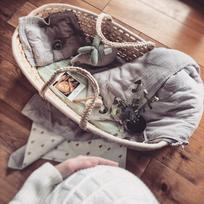 kudikio lopsys - Ahojbaby kūdikio lopšys be čiužinuko - 3 nuotrauka