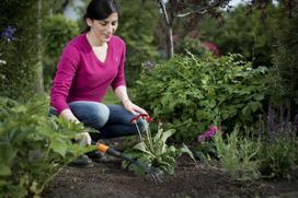 fiskars greblys - Fiskars QuickFit Flower Rake - 3 nuotrauka