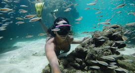 gopro hero12 - Gopro Protective Housing ADDIV-001 - 6 nuotrauka