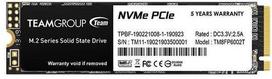Team Group MP33 256GB M.2