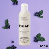 noah kauke - Noah 2.6. Anti-Yellow Hair Mask Geltonus tonus neutralizuojanti plaukų kaukė, 250ml - 3 nuotrauka
