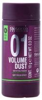 Salerm Cosmetics 01 Volume Dust Matifying Powder 10g