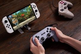 laidinis pultelis - Žaidimų pultas 8BitDo Pro2 PS Edition - 7 nuotrauka