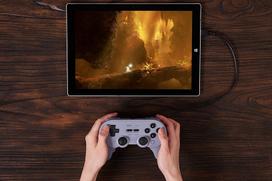 laidinis pultelis - Žaidimų pultas 8BitDo Pro2 PS Edition - 8 nuotrauka
