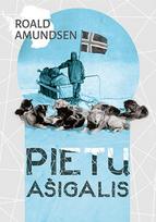 Pietų ašigalis