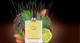 terre d hermes intense - Hermes Terre D Hermes Eau Intense Vetiver 200ml EDP - 3 nuotrauka
