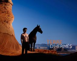 terre d hermes intense - Hermes Terre D Hermes Eau Intense Vetiver 200ml EDP - 4 nuotrauka