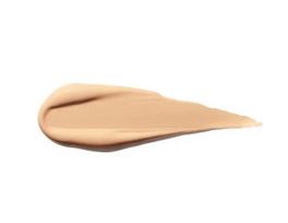 shiseido pudra - Shiseido Synchro Skin Self-Refreshing Concealer 5.8ml 202 - 2 nuotrauka