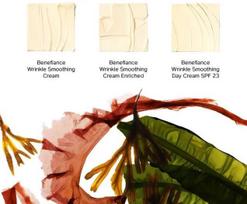 shiseido benefiance smoothing - Shiseido Wrinkle Smoothing SPF 25 raukšles lyginantis dieninis kremas - 50 ml. - 4 nuotrauka