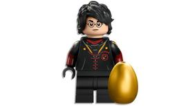 lego drakonas - LEGO Harry Potter The Hungarian Horned Tail 76406 - 5 nuotrauka