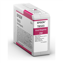 EPSON C13T850300