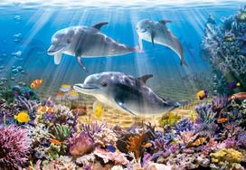 power cube - Castorland Puzzle Dolphins Underwater 500pcs - 2 nuotrauka