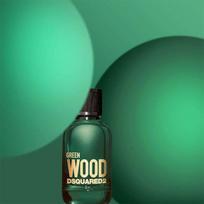 dezodorantas piestukinis - Dsquared2 Green Wood pieštukinis dezodorantas vyrams - 75 ml. - 3 nuotrauka