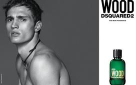 dezodorantas piestukinis - Dsquared2 Green Wood pieštukinis dezodorantas vyrams - 75 ml. - 5 nuotrauka