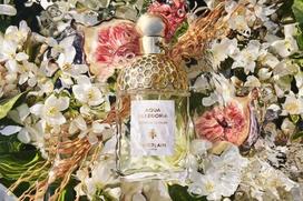 guerlain neroli - Tualetinis vanduo Guerlain Aqua Allegoria Nerolia Vetiver, 200 ml - 4 nuotrauka