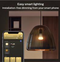 philips hue led a67 - LED lemputė Philips Hue LED, balta, E27, 15.5 W - 3 nuotrauka