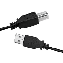 usb a male to a male - Logilink CU0007B USB 2.0 cable 2 m, USB 2.0 B (male), USB 2.0 A (male) - 2 nuotrauka