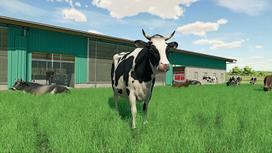 Pirkti Farming Simulator 22 PS4 - Photo 5