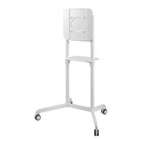 mobilus tv stovas - NEWSTAR MOBILE FLAT SCREEN FLOOR STAND (HEIGHT: 160 CM) 37-70" WHITE - 3 nuotrauka