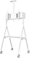 monitoriu laikiklis baltas - NEWSTAR MOBILE FLAT SCREEN FLOOR STAND (HEIGHT: 110 - 144 CM) 32-65" WHITE - 2 nuotrauka