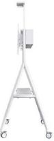 monitoriu laikiklis baltas - NEWSTAR MOBILE FLAT SCREEN FLOOR STAND (HEIGHT: 110 - 144 CM) 32-65" WHITE - 4 nuotrauka