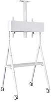 monitoriu laikiklis baltas - NEWSTAR MOBILE FLAT SCREEN FLOOR STAND (HEIGHT: 110 - 144 CM) 32-65" WHITE - 5 nuotrauka