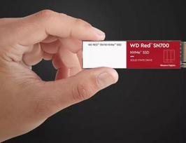 wd red sn700 - WD WDS500G1R0C - 4 nuotrauka