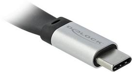 usb c 3 2 gen 2 kabelis - Kabelis Delock 85926, sidabro/juoda, 0.22 m - 3 nuotrauka
