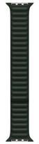 Apple Watch 45mm Sequoia Green Leather Link