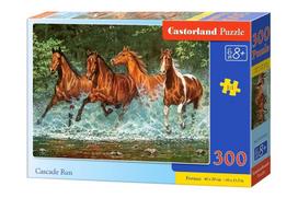 CASTORLAND dėlionė CASCADE RUN 300 det.