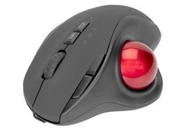 wireless ergonomic mouse -  Assmann Digitus  (Pilka) - 1 nuotrauka