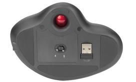 wireless ergonomic mouse -  Assmann Digitus  (Pilka) - 3 nuotrauka