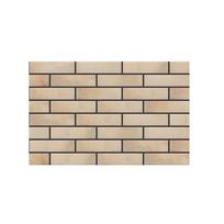 cerrad - Klinkerinė plytelė Retro Brick Salt - 4 nuotrauka