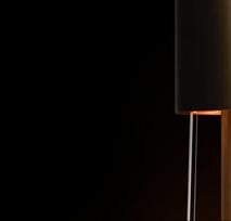 lifeair - LIFEAIR IonFlow Evolution Gold - 3 nuotrauka