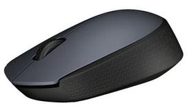 pelite - Logitech M170 Grey (Pilka) - 2 nuotrauka