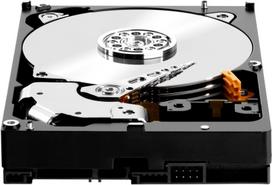 hdd 18tb - Western Digital Purple Pro 18TB 3.5" 512MB WD181PURP - 4 nuotrauka