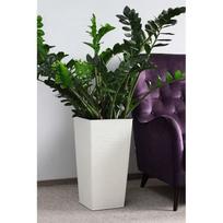 vazonai 30 cm - Plastikinis vazonas Finezja Dluto, 30 x 30 cm - 2 nuotrauka