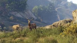 grand theft auto ps4 - Grand Theft Auto V (GTA 5) PS4 - 7 nuotrauka