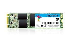 kirpyklos kedes - ADATA Ultimate SU800 256GB M.2 - 1 nuotrauka