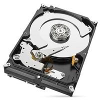 kietasis diskas 2tb 3.5 - Seagate SkyHawk 2TB 5900RPM SATAIII 64MB ST2000VX008 - 4 nuotrauka
