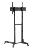 tv laikiklus - NEOMOUNTS BY NEWSTAR MOBILE FLOOR STAND (HEIGHT ADJUSTABLE: 128,5-145 CM) - 3 nuotrauka