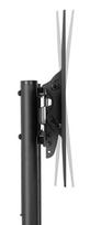 tv laikiklus - NEOMOUNTS BY NEWSTAR MOBILE FLOOR STAND (HEIGHT ADJUSTABLE: 128,5-145 CM) - 7 nuotrauka