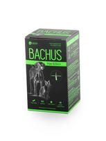  BACHUS Skin&Hair papildas kailiui ir odai 60 skanių tablečių