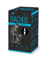  BACHUS Joints&Flexi papildas sąnarių stiprinimui 60 skanių tablečių