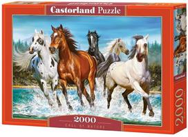 Dėlionė Castorland Call Of Nature, 2000 vnt.