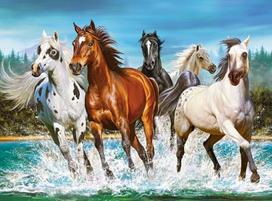 puzzle 2000 - Dėlionė Castorland Call Of Nature, 2000 vnt. - 2 nuotrauka