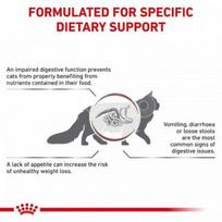 cata - Royal Canin Gastro Intenstinal cat - 2kg - 3 nuotrauka