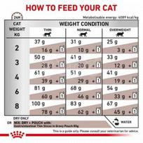 cata - Royal Canin Gastro Intenstinal cat - 2kg - 4 nuotrauka